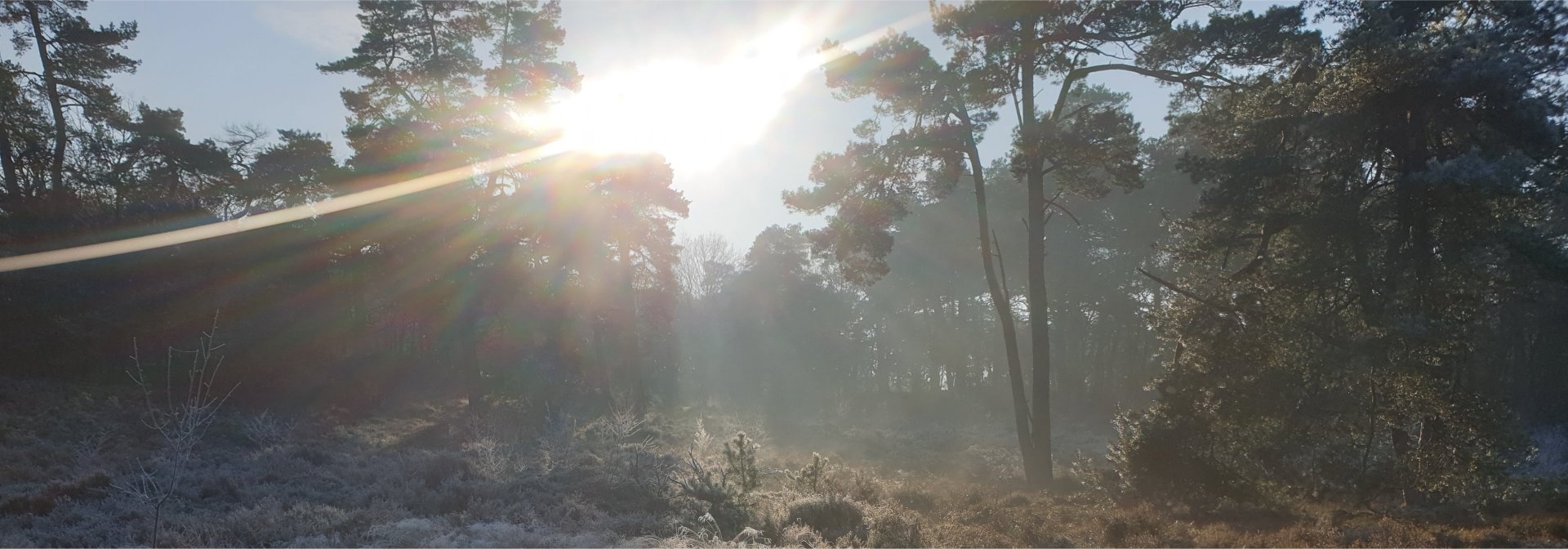 Winters landschap