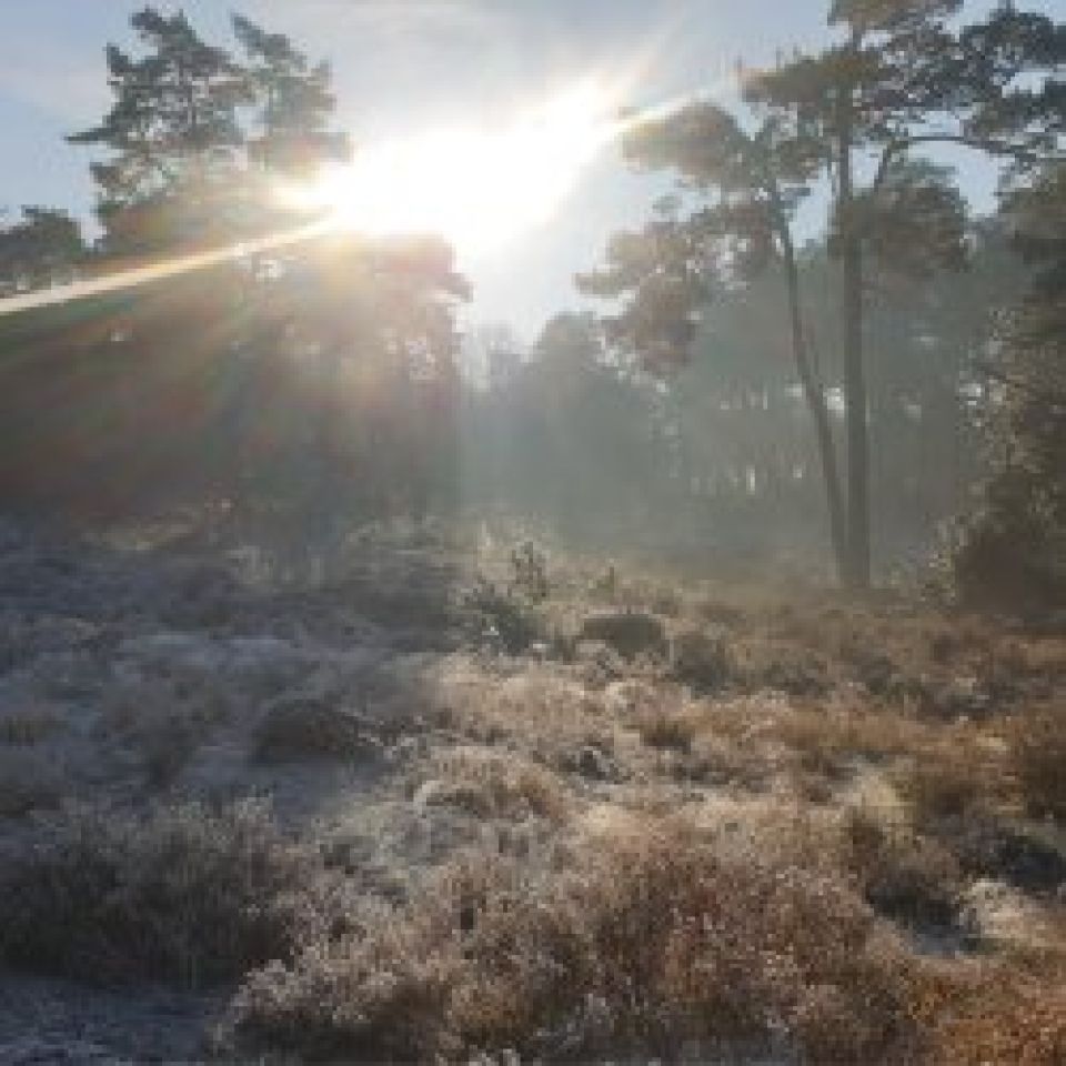 Leven