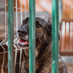 Het voeden van onze emoties