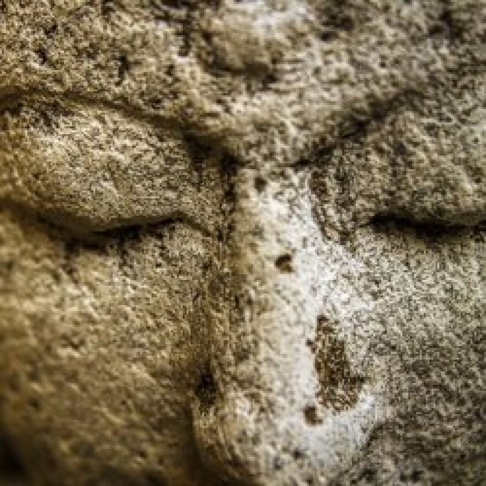 De Tovenaar en de Wijze