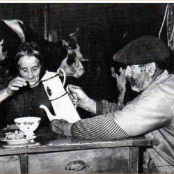 “Le bonheur est simple”. (Het geluk is eenvoudig)