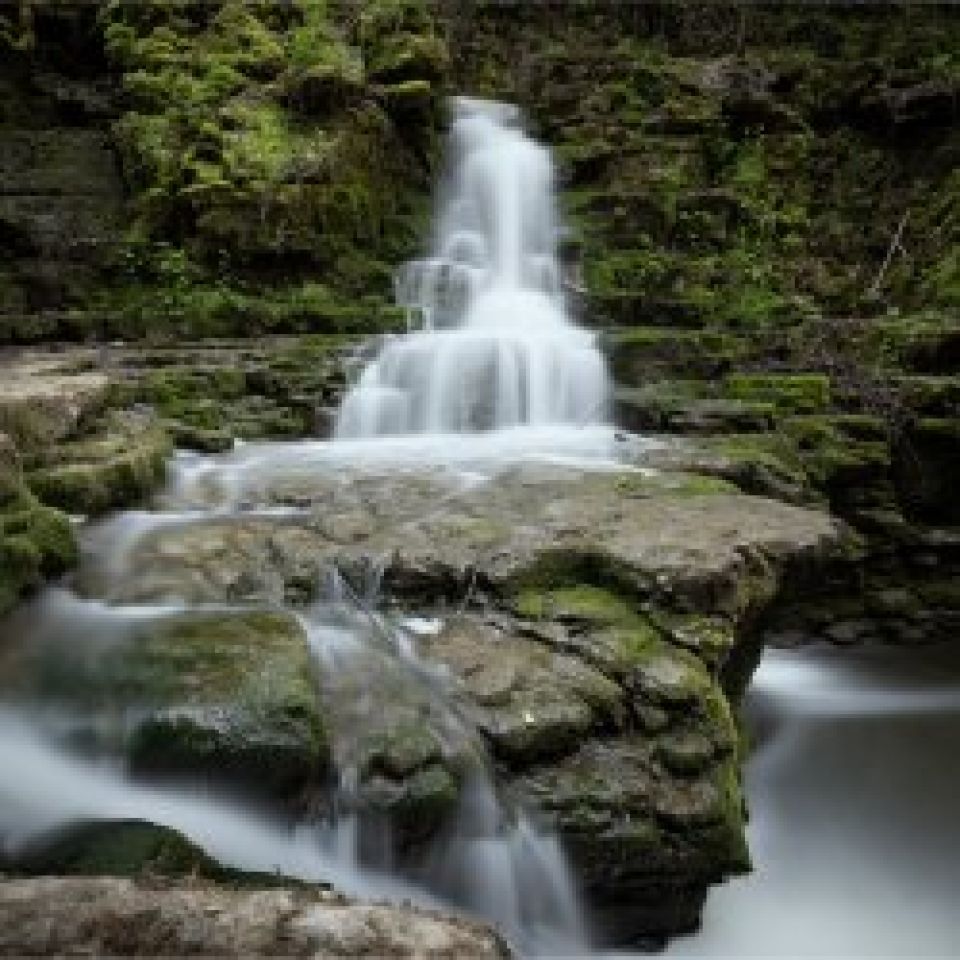 Wat een geluk om een leraar te hebben!